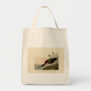 Glossy Ibis - van de Amerikaanse vogels van Audubo Tote Bag