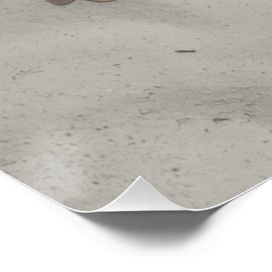 Glossy Poster (Hoek)