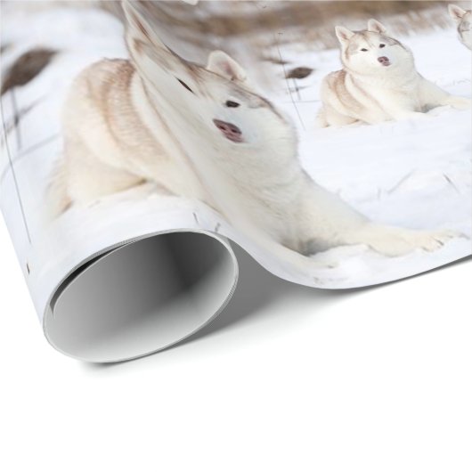 Glossy Wrapping Paper Paris France Husky Cadeaupapier (Rol Hoek)