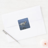 Gloucester, Massachusetts, Verenigde Staten 2 Vierkante Sticker (Envelop)
