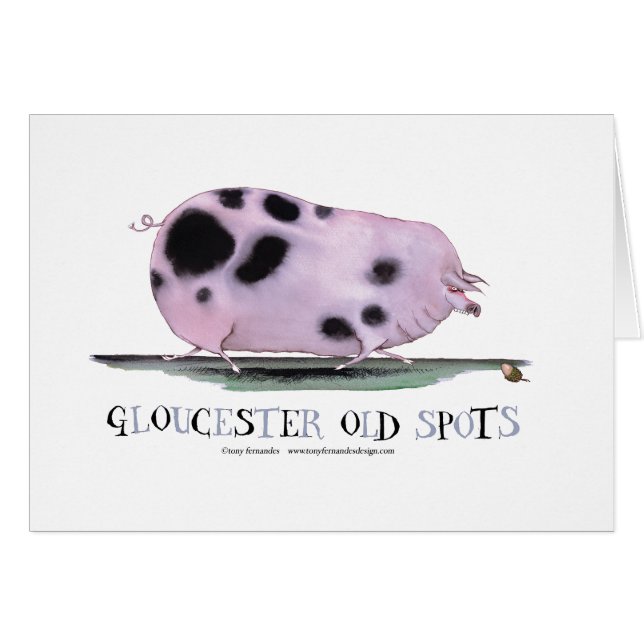 gloucester oude vlekken, tonifernandes (Voorkant Horizontaal)