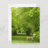 Gloucestershire, Verenigd Koninkrijk Briefkaart (Voorkant / Achterkant)