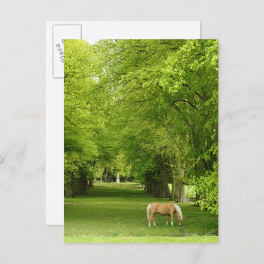 Gloucestershire, Verenigd Koninkrijk Briefkaart (Voorkant / Achterkant)