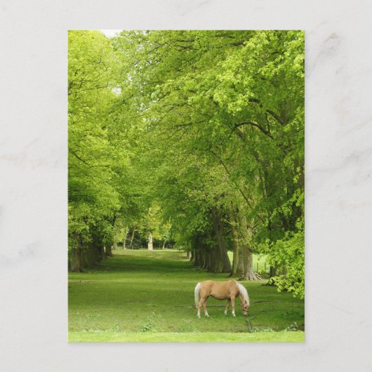 Gloucestershire, Verenigd Koninkrijk Briefkaart (Voorkant)