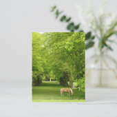 Gloucestershire, Verenigd Koninkrijk Briefkaart (Staand voorkant)