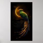 Glow of the Night Feather Poster (Voorkant)