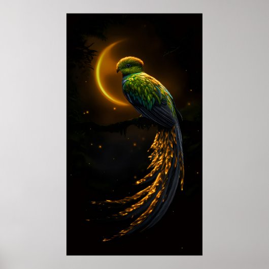 Glow of the Night Feather Poster (Voorkant)
