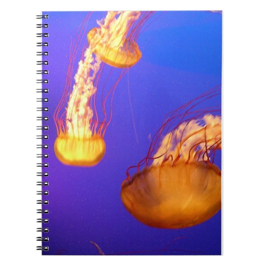 GLOWWING JELLYFISH SPIRAL BOUND NOTEBOOK NOTITIEBOEK (Voorkant)