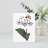 Gloxinia door Pierre Joseph Redoute Briefkaart (Staand voorkant)