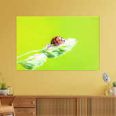 Glücksbringer-Marienkäfer für Deine Wand! Canvas Afdruk (Insitu (Woonkamer))
