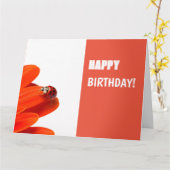 Glückwunschkarte Marienkäfer auf oranger Blüte Kaart (Gele Bloem)