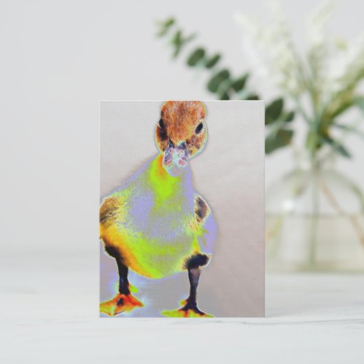 Glucovis Briefkaart (Staand voorkant)