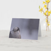 gluren kaart (Gele Bloem)