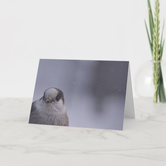 gluren kaart (Voorkant)