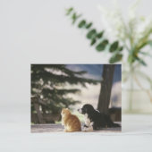 gluren op de sneeuw | Westerne Colorado Briefkaart (Staand voorkant)