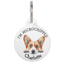 Glurend Gouden Corgi Pup Met Naam Huisdierpenning