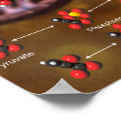 Glycolysis poster (Hoek)