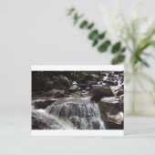 Glyfosaat-vrij Tennessee-Briefkaart voor kerstmis Briefkaart (Staand voorkant)