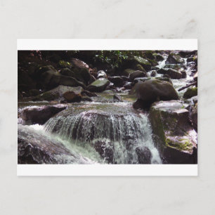 Glyfosaat-vrij Tennessee-Briefkaart voor kerstmis Briefkaart