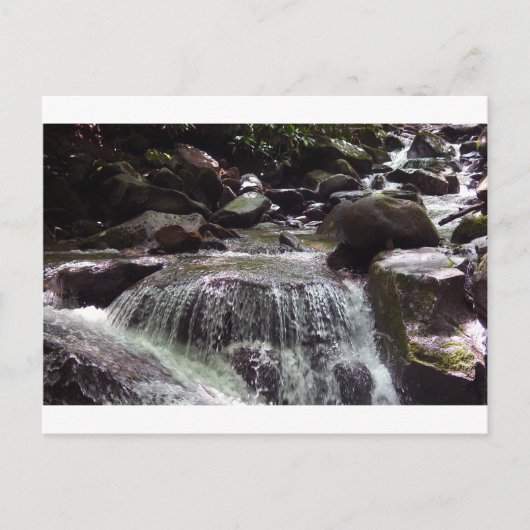 Glyfosaat-vrij Tennessee-Briefkaart voor kerstmis Briefkaart (Voorkant)