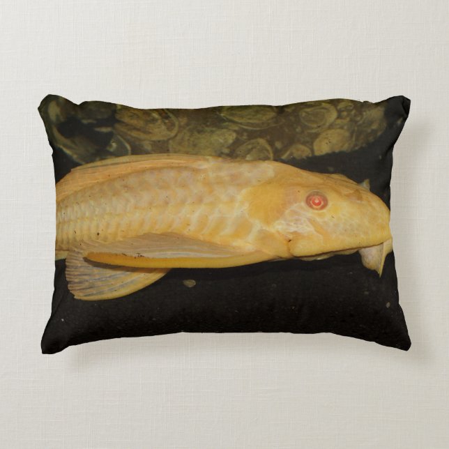 Glyptoperichthys gibbiceps decoratief kussen (Voorkant)