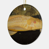 Glyptoperichthys gibbiceps keramisch ornament (Links)