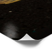 Glyptoperichthys gibbiceps perfect poster (Hoek)