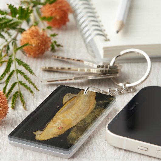 Glyptoperichthys gibbiceps sleutelhanger (Voorkant Rechts)