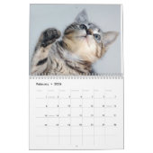 gmo kalender, 2009 kalender (Feb 2026)