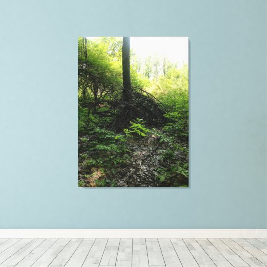 Gnarled-basis Canvas Afdruk (Insitu (Houten vloer))