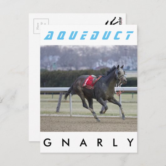 Gnarly Briefkaart (Voorkant / Achterkant)