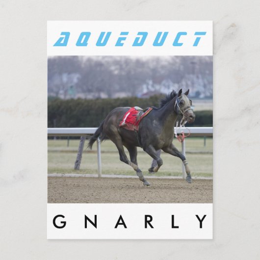 Gnarly Briefkaart (Voorkant)