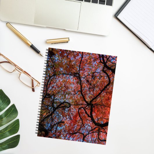 Gnarly herfst Japanse es takken foto Notitieboek