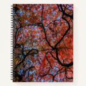 Gnarly herfst Japanse es takken foto Notitieboek (Voorkant)