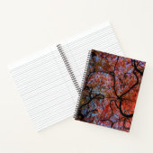Gnarly herfst Japanse es takken foto Notitieboek (Binnen)