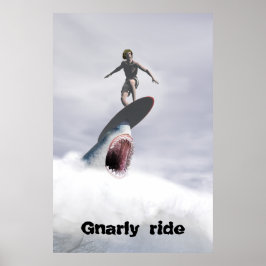 Gnarly ride poster