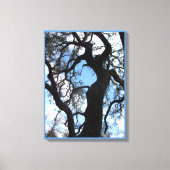 Gnarly Tree Photo Canvas Print (18x24) (Voorkant)