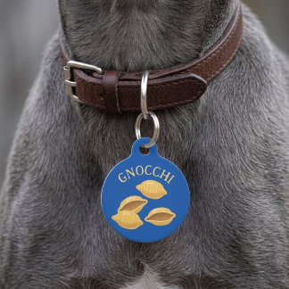 Gnochhi Naam Gepersonaliseerde Hond Kat Huisdier I Huisdierpenning
