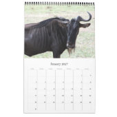 gnoe afrika kalender (Jan 2027)