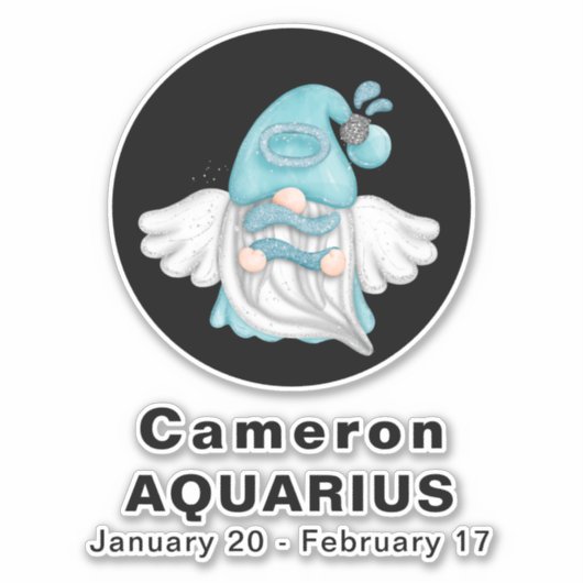 Gnome Aquarius Astrology Sign Angel 8" Vinyl Sticker (Voorkant)