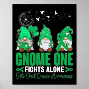 Gnome One vecht alleen Gnomies galwegkanker AW Poster