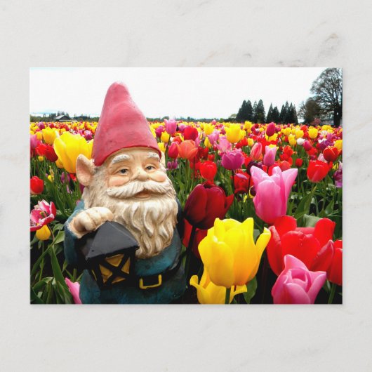 Gnome Petals Briefkaart (Voorkant)