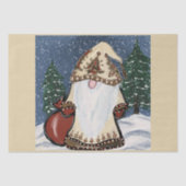 GNOME TISSUEPAPIER (Voorkant)