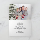 Gnome voor de Feestdagen (Binnen)