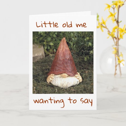 GNOME ZEGT DAT HIJ NIET KAN VERBERGEN HOE HIJ ZICH KAART (Gele Bloem)