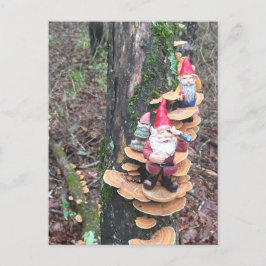 Gnomen en de kalkoenstaart paddenstoelen briefkaart