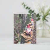 Gnomen en de kalkoenstaart paddenstoelen briefkaart (Staand voorkant)