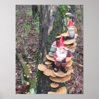 Gnomen en de kalkoenstaart paddenstoelen poster