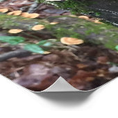 Gnomen en de kalkoenstaart paddenstoelen poster (Hoek)