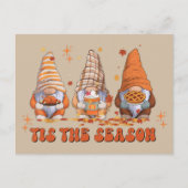 Gnomen Thanksgiving Holiday Card Feestdagenkaart (Voorkant)